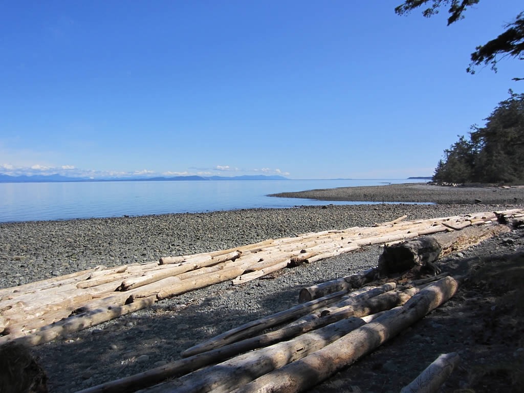 Vancouver Island remains a seller’s market