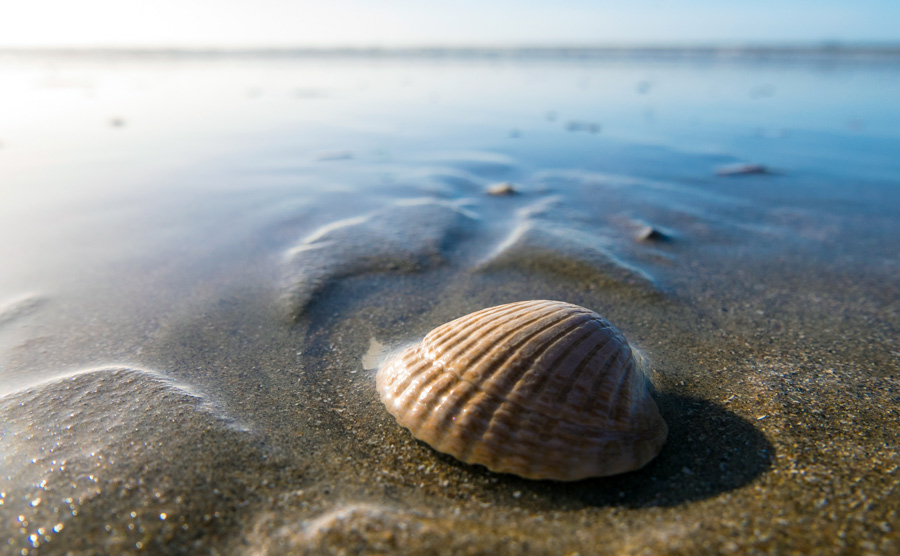 School’s back in… time to hit the beach solo!