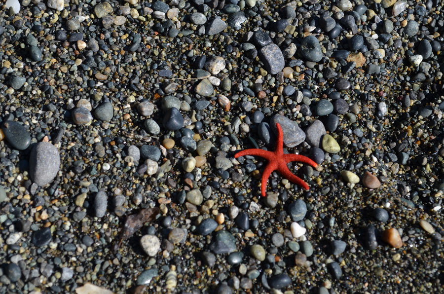 What you need to know about relocating to the Comox Valley