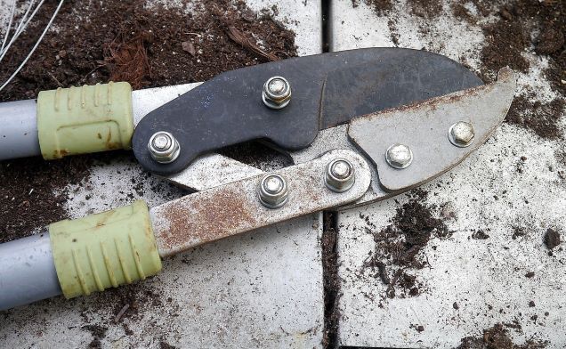 Is your garden ready for winter?